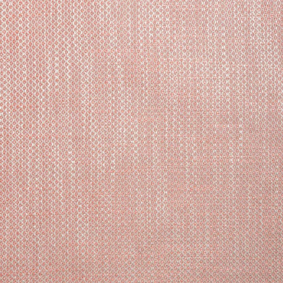 Etoile Coral