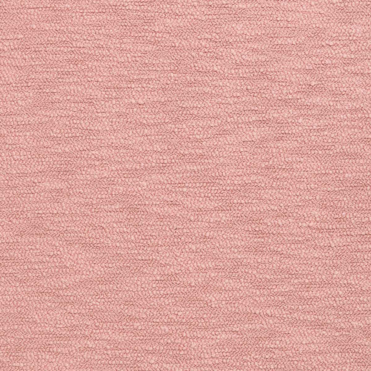Fluffle Coral