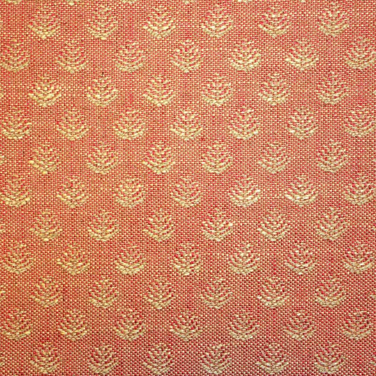 Lucas 306