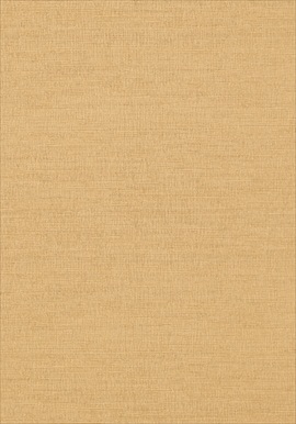 Coastal Sisal 839-T-14105