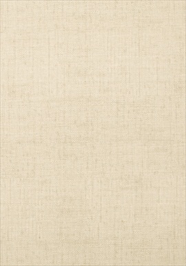 Bankun Raffia 839-T-14135