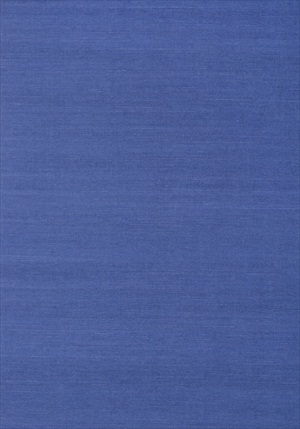 Shang Extra Fine Sisal 839-T-41180