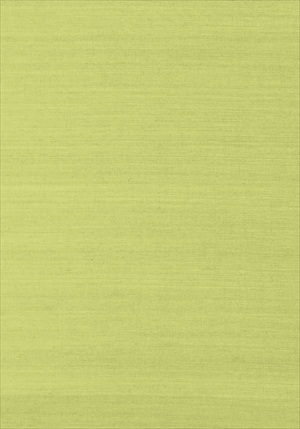 Shang Extra Fine Sisal 839-T-41181