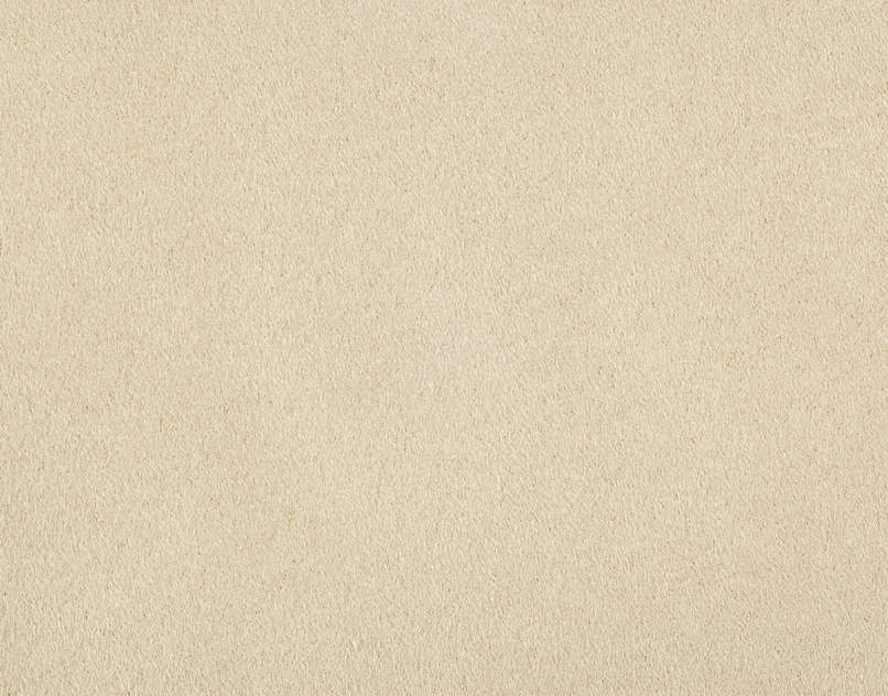 Taiga Contrecolle Papier O7710002