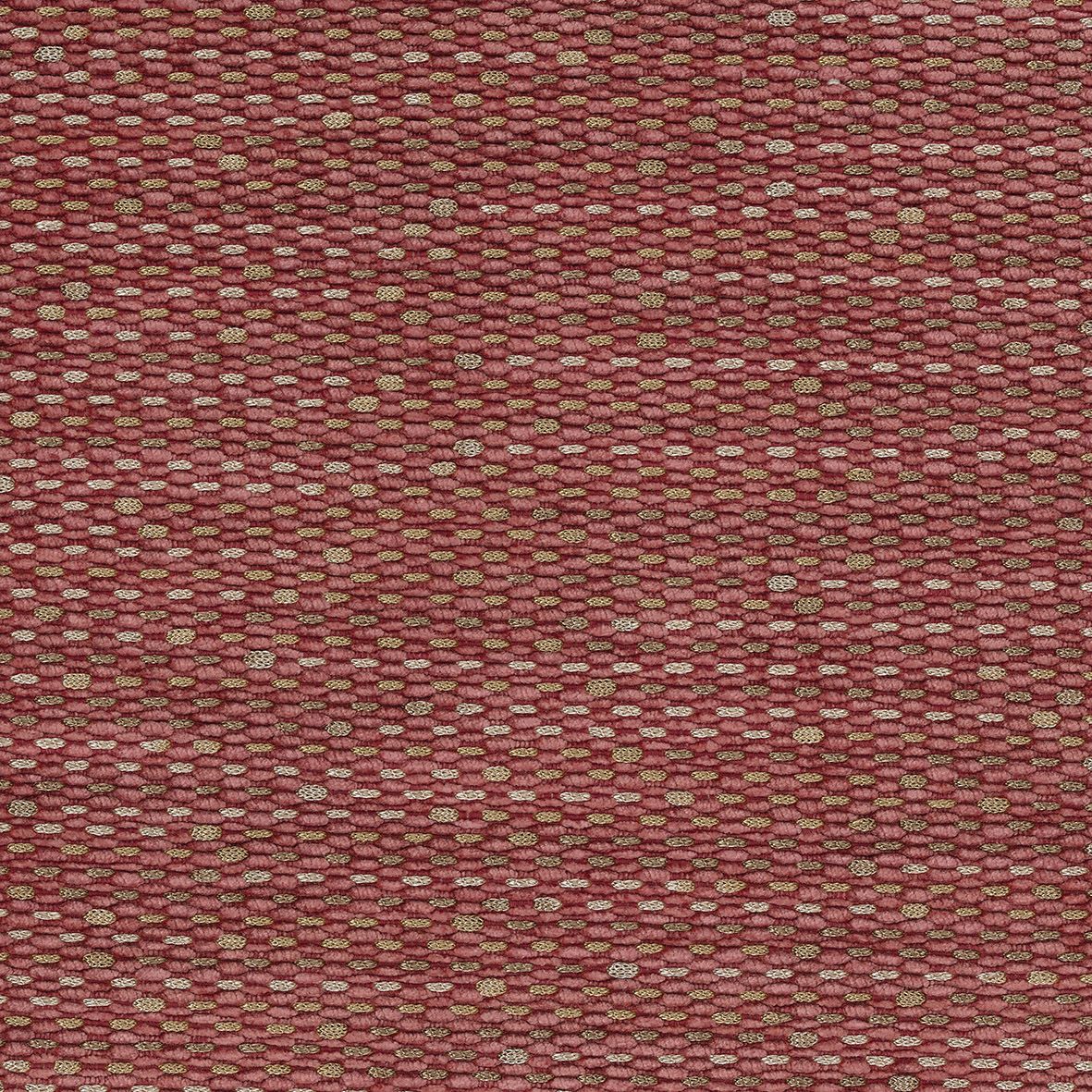 Tartuffe NCF4311-01