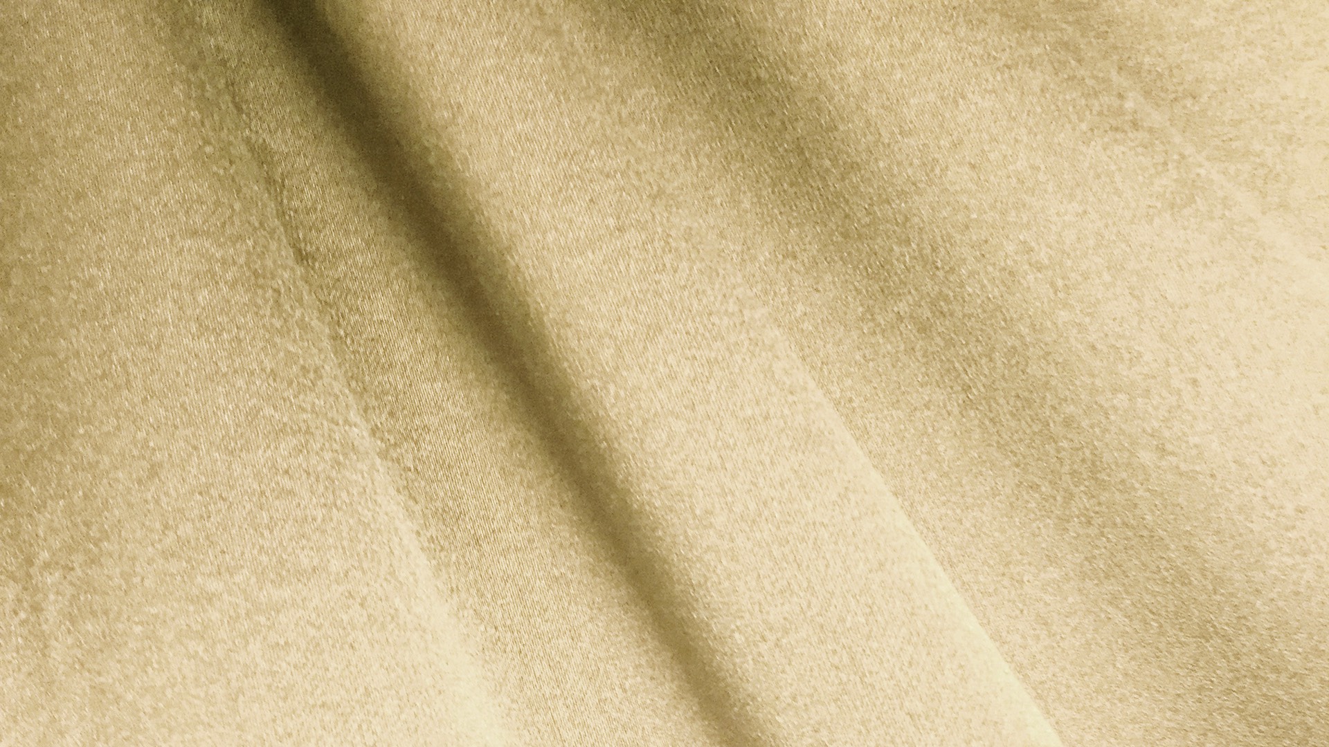 Emotion 1628-01