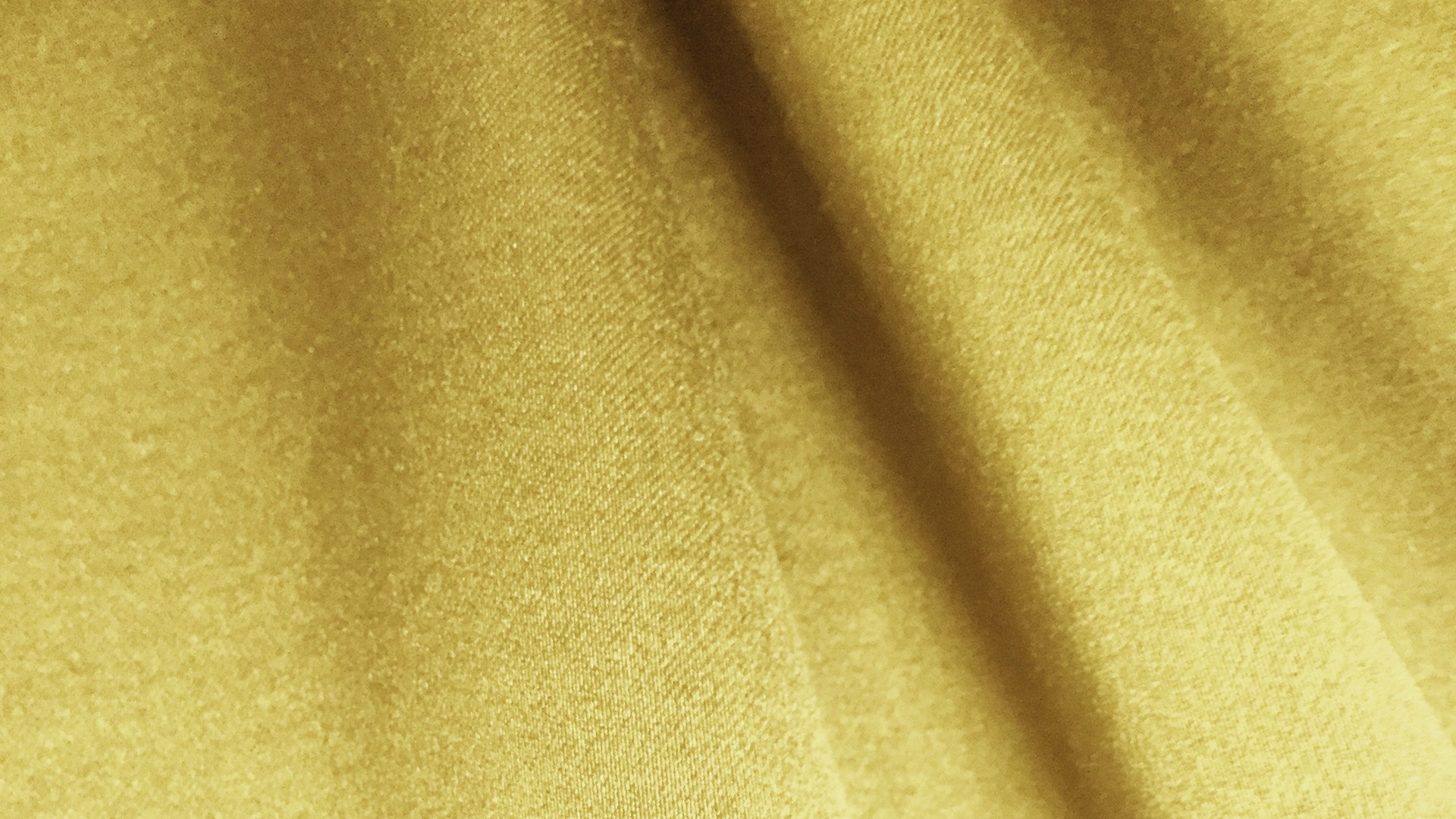 Emotion 1628-02