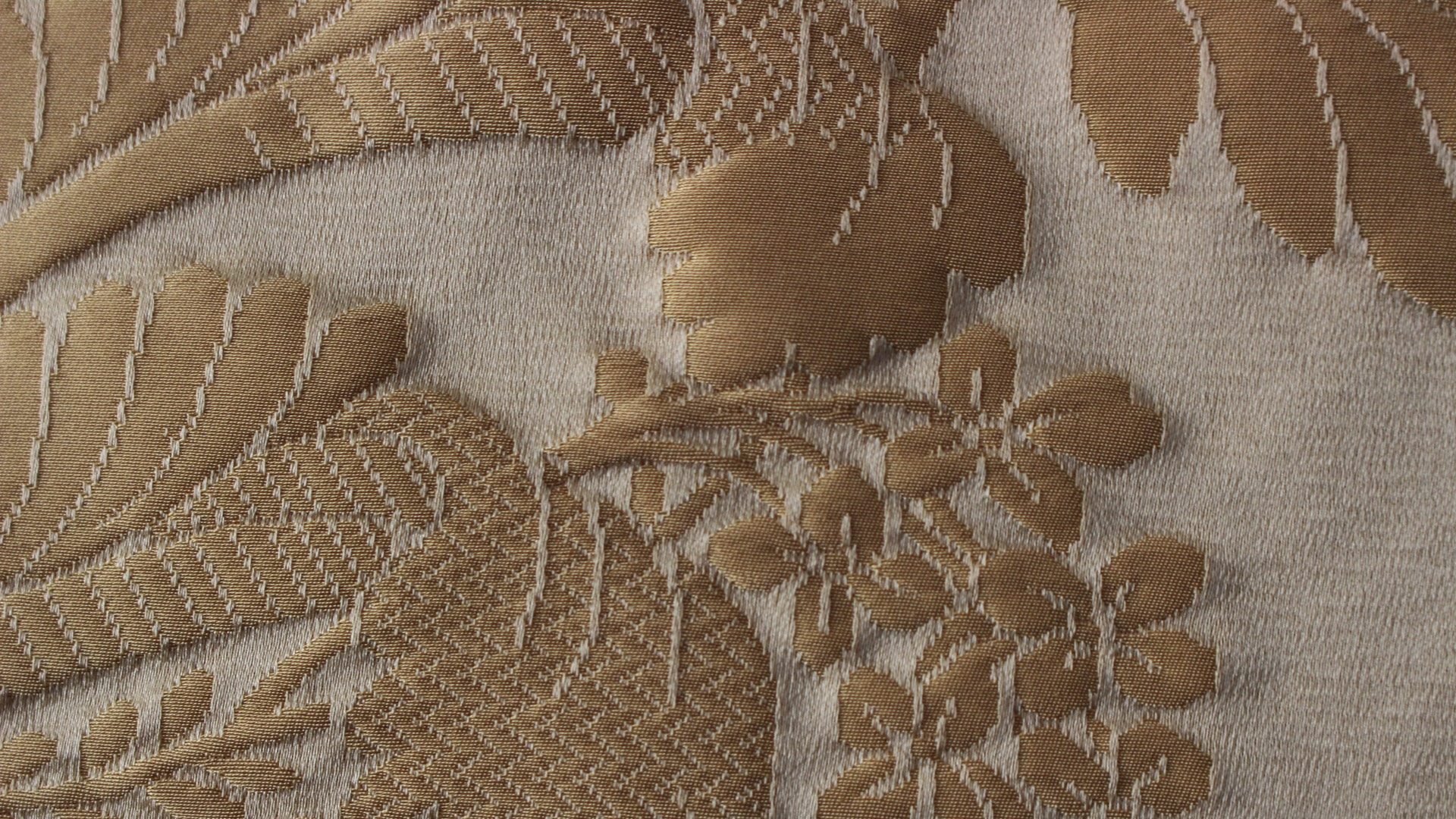 La Coquille 1516-28