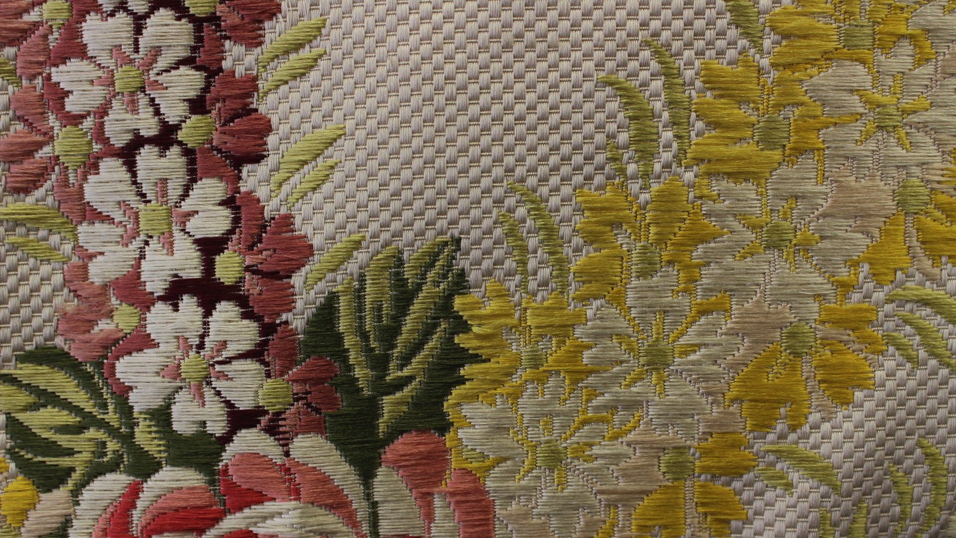 Reine Des Fleurs 1504-01