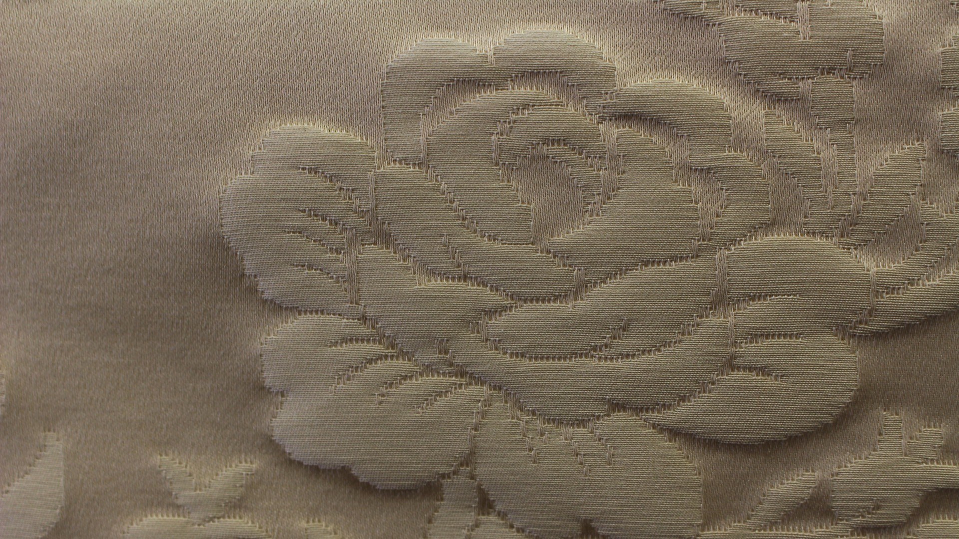 Sophie Charlotte 1534-03
