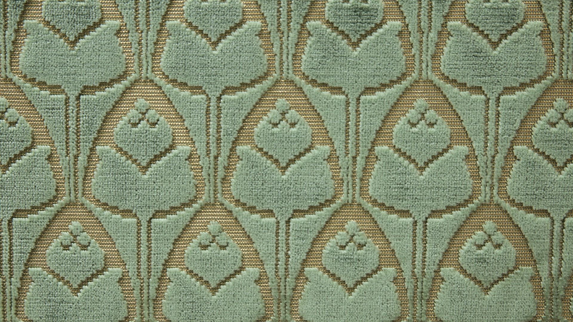 Tulipes 1695-04