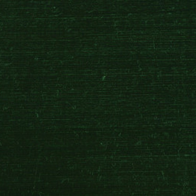 Velours Soie Uni 1502-18