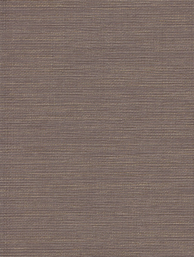 Acappella ACA52950