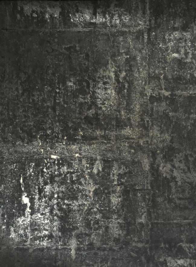 Amphora AMP16425