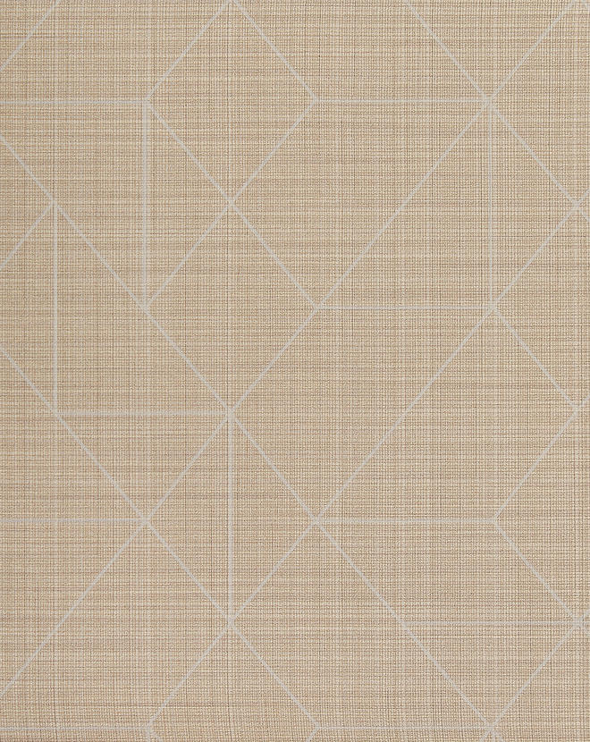 Angles ANG47569