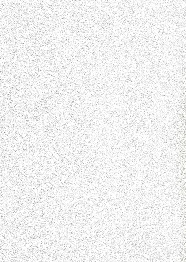 Art 15878 (58084)