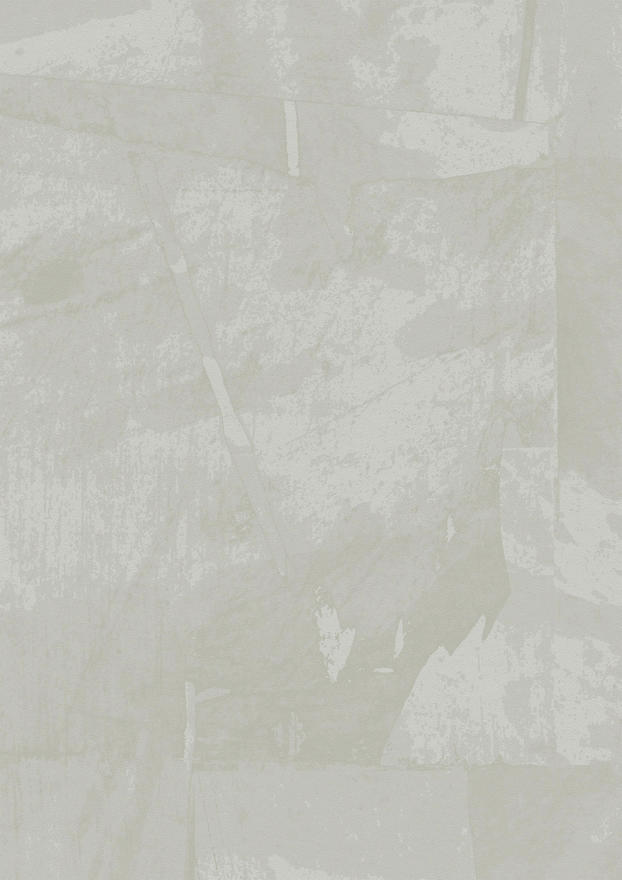Brushed Smooth BRUS T2SC02