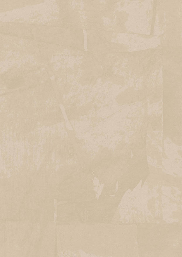 Brushed Smooth BRUS T2SC06