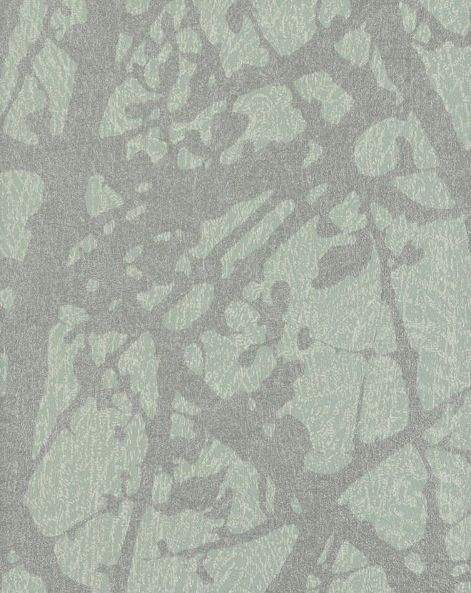 Canopy CAN46841