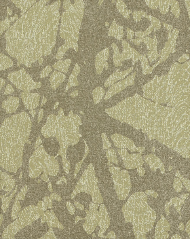 Canopy CAN46842