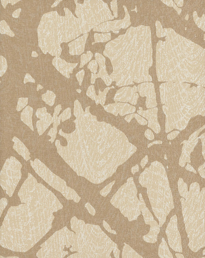 Canopy CAN46843