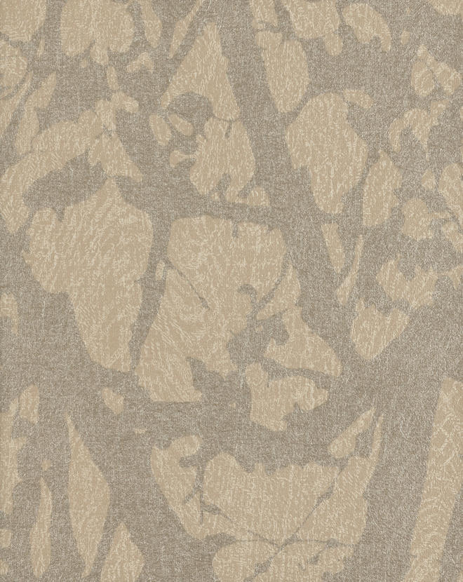 Canopy CAN46844