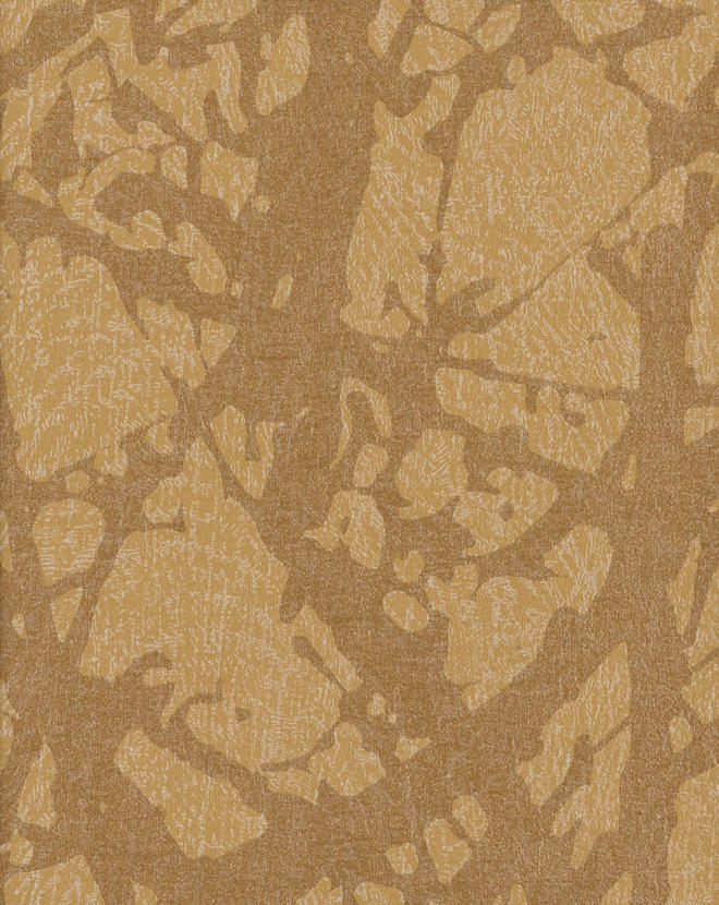 Canopy CAN46845