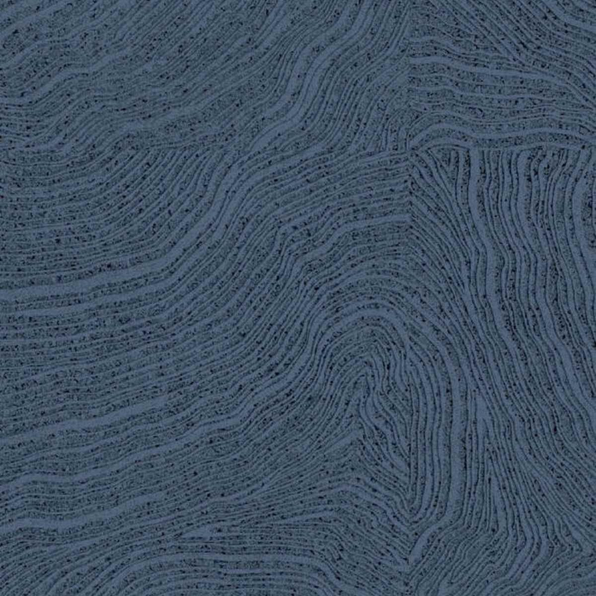 Topography TOP 08