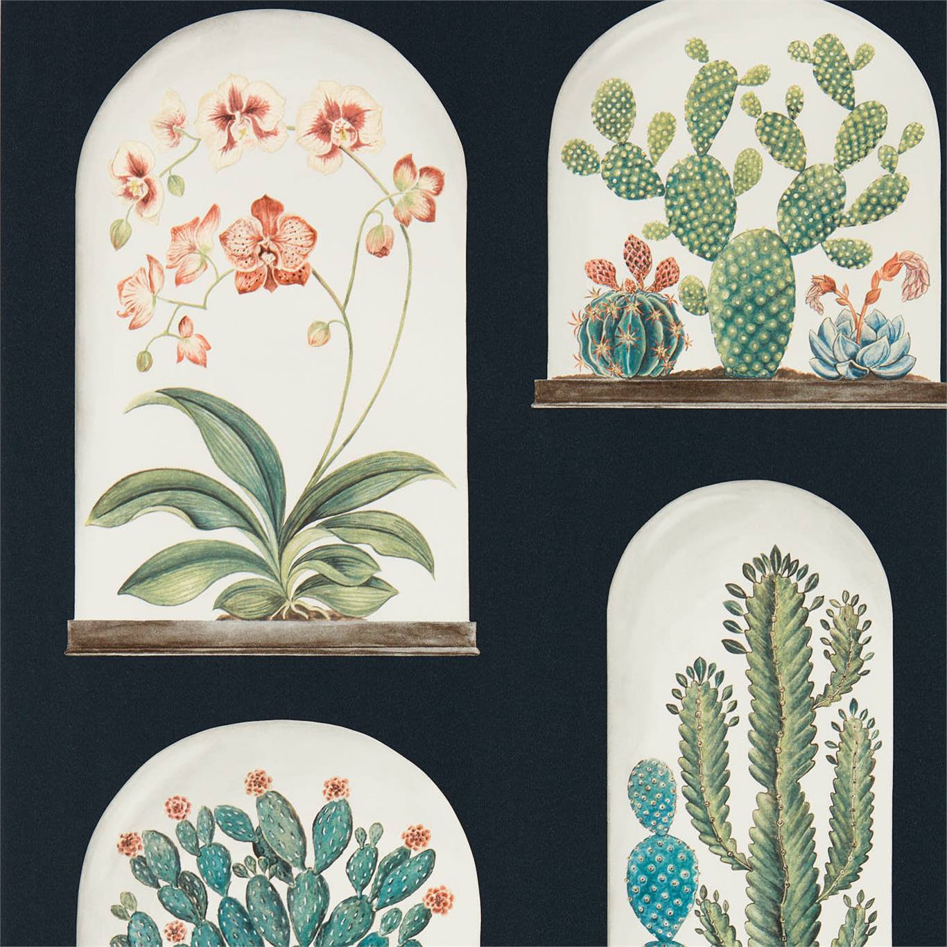 Terrariums 216658
