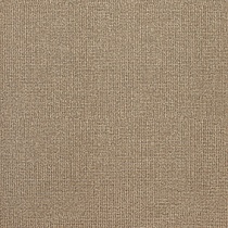 Text 20 Bronze