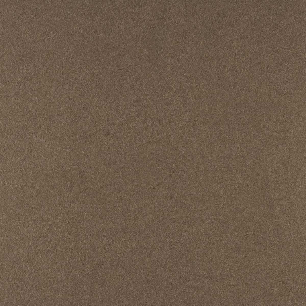 Cashmere ARC010