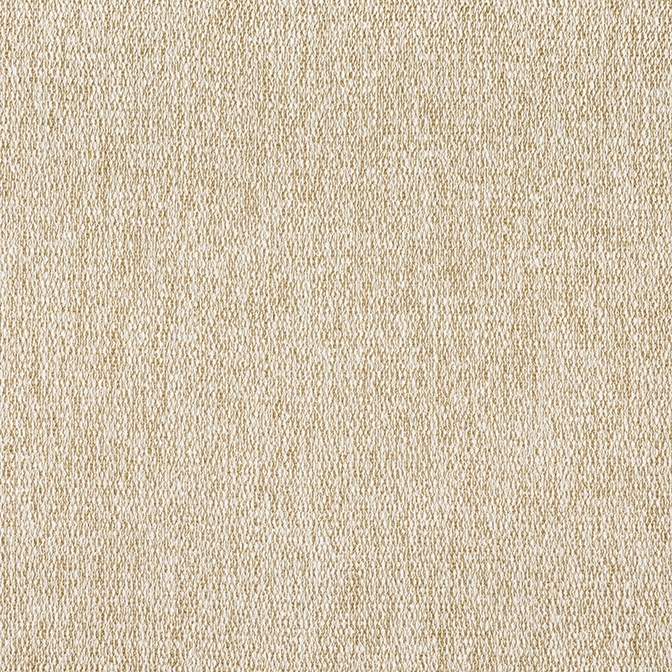 Arroyo W8781