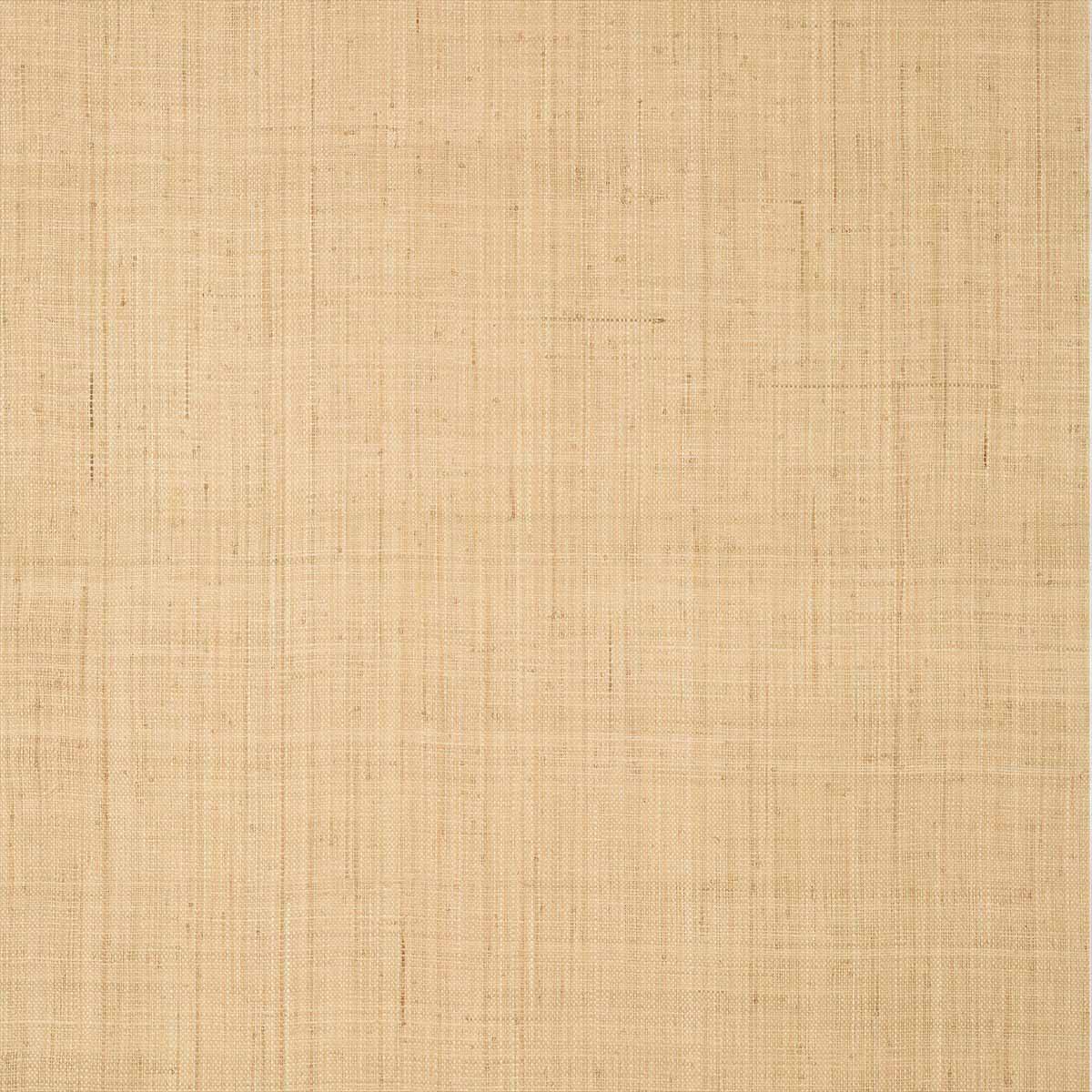 Bethany Raffia T19600