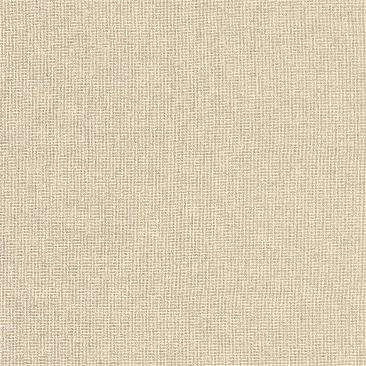 Brynn W81679