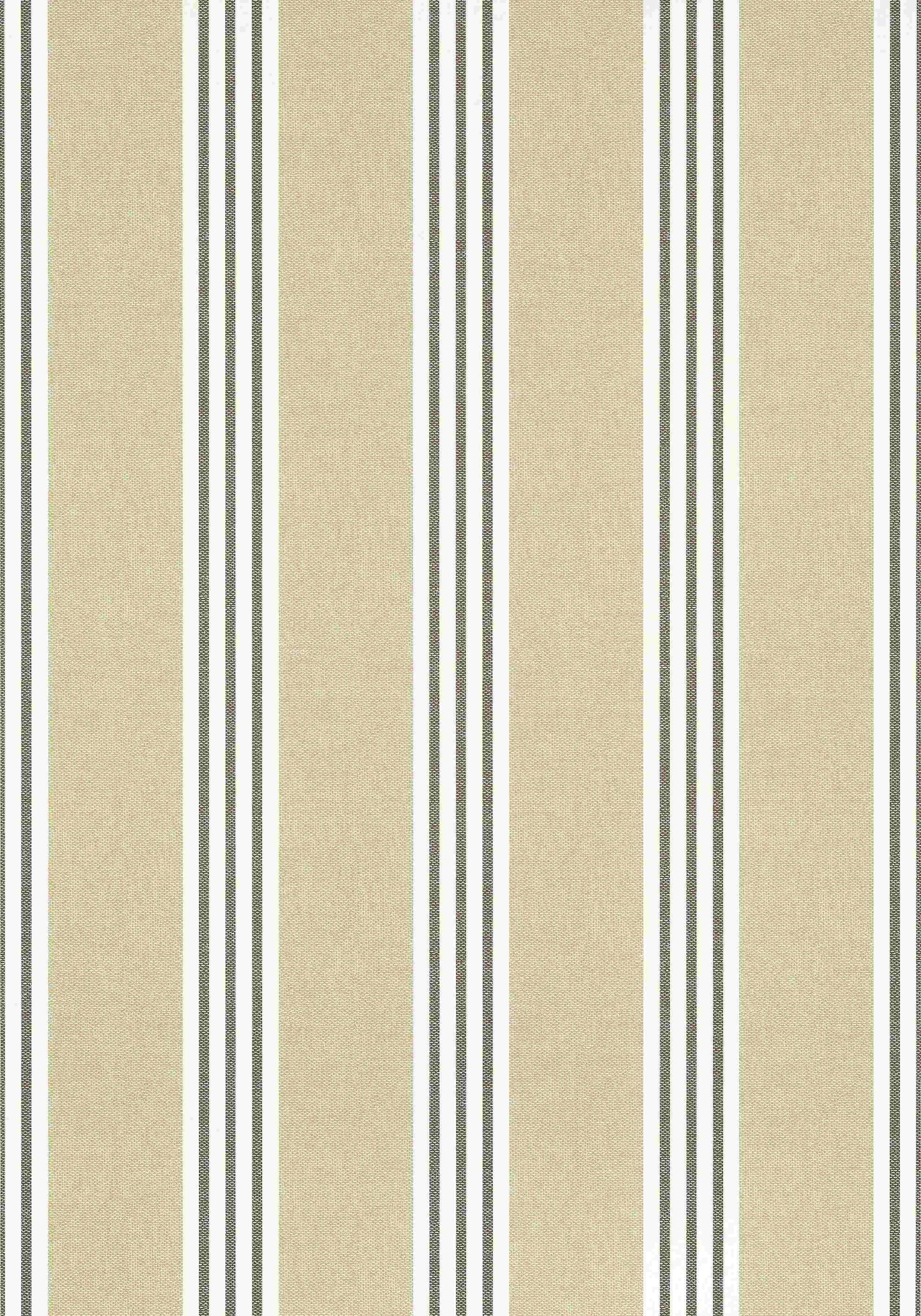 Canvas Stripe T13358