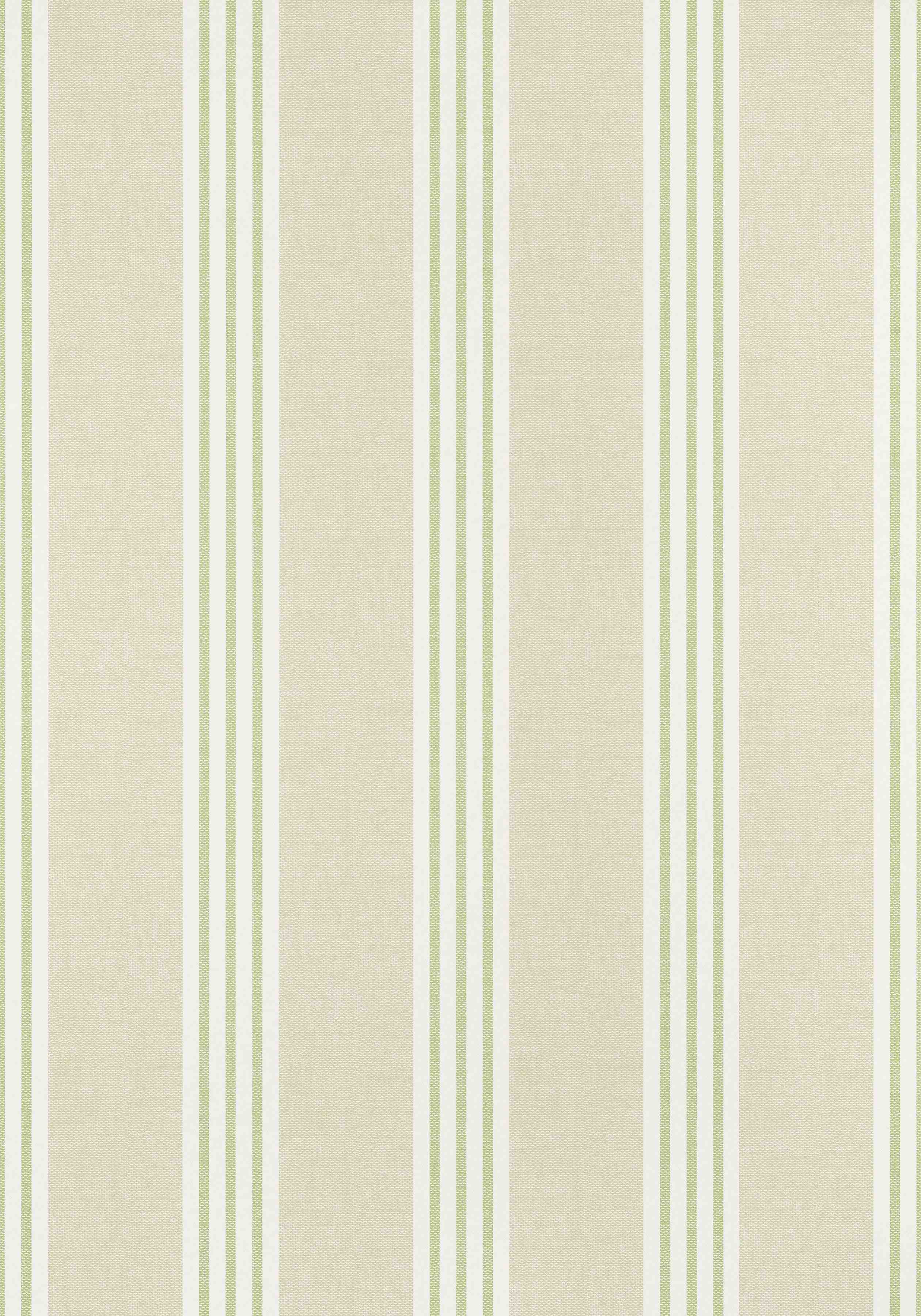Canvas Stripe T13361
