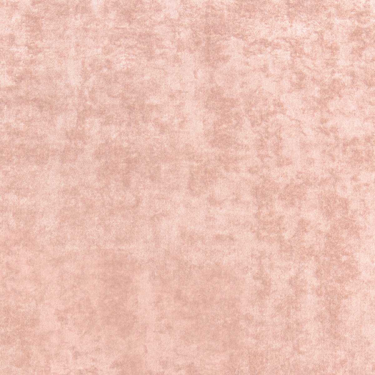 Celeste Velvet W8969