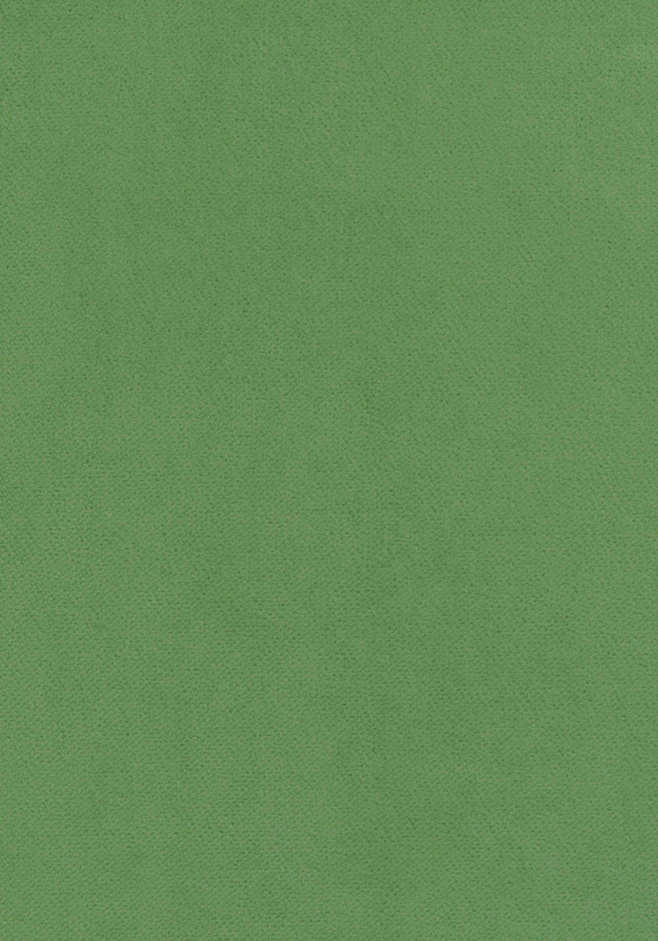 Club Velvet W7254