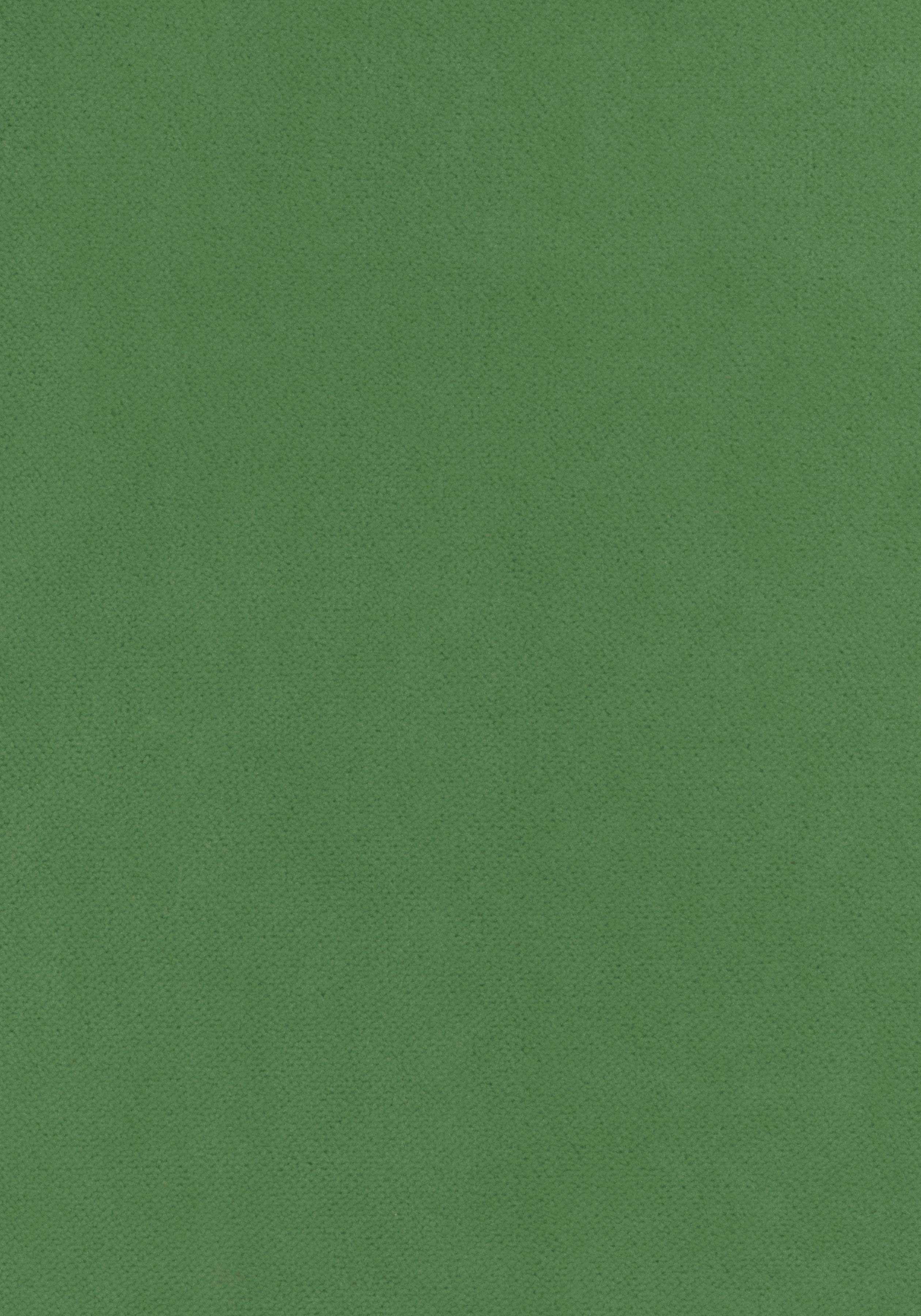Club Velvet W7255