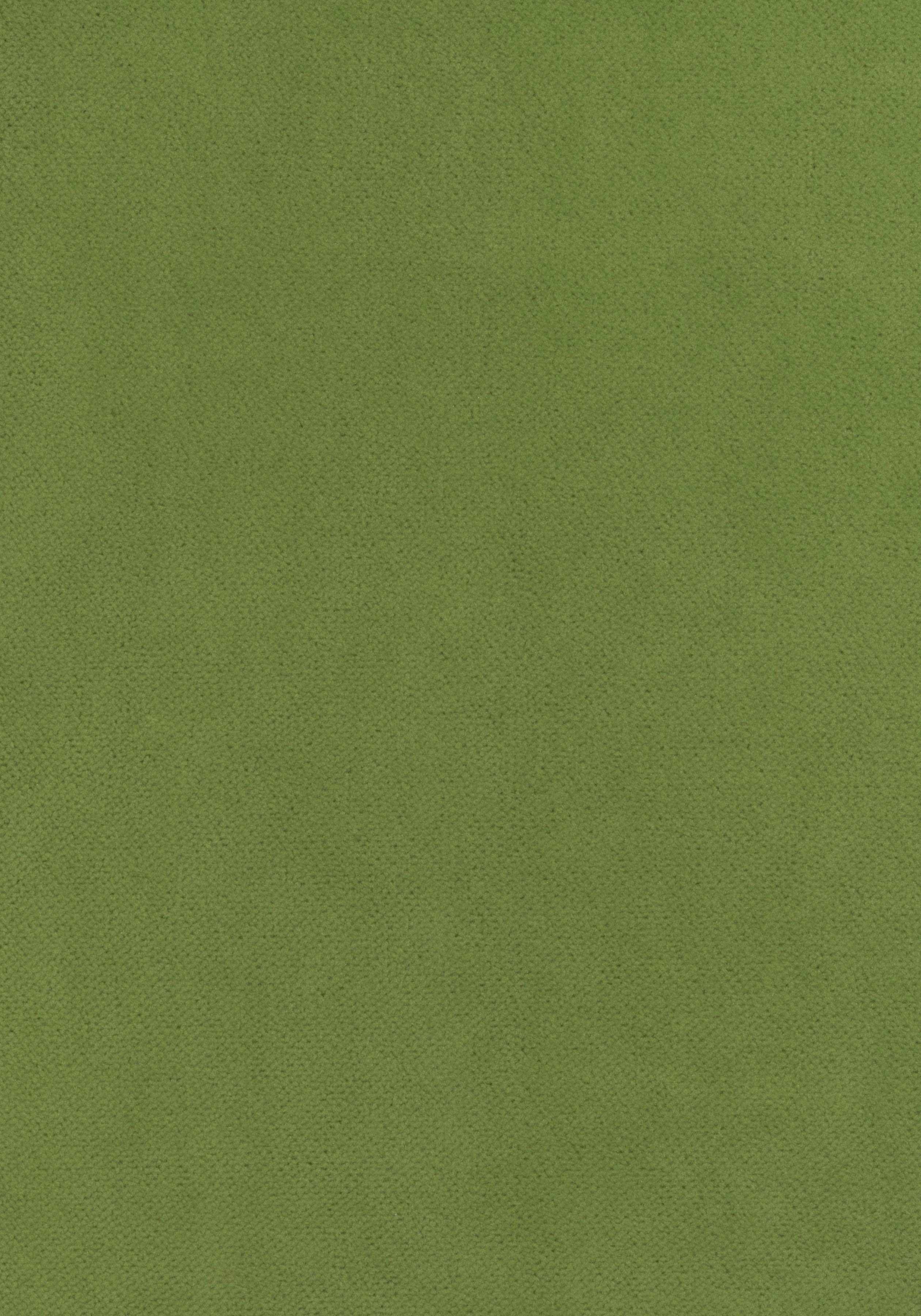 Club Velvet W7256