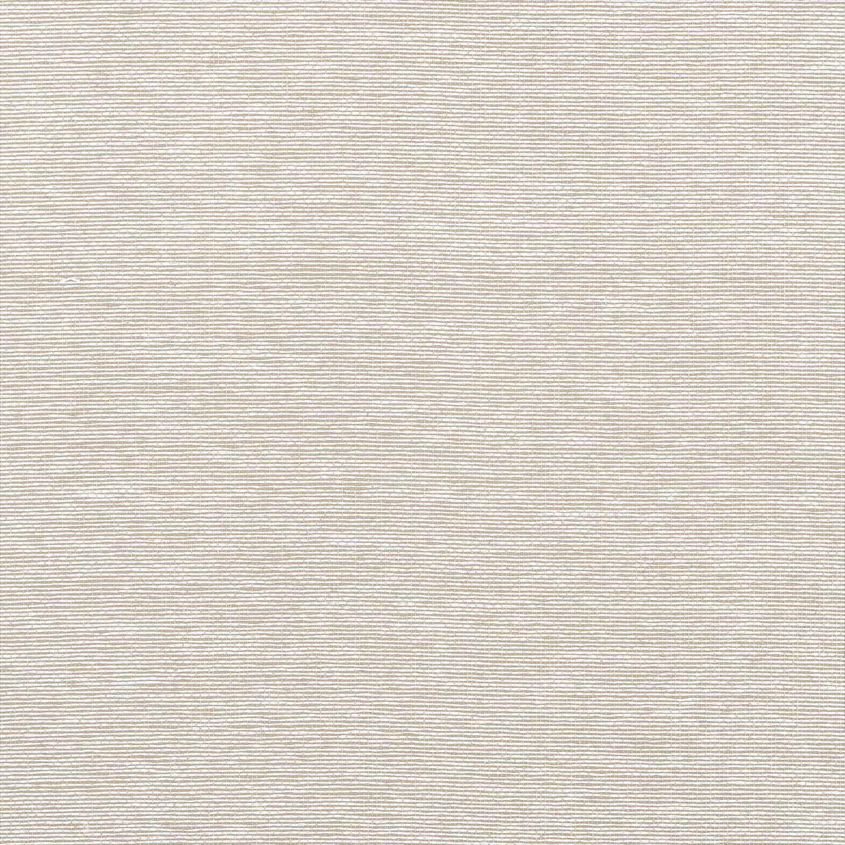 Edward's Paper T19696
