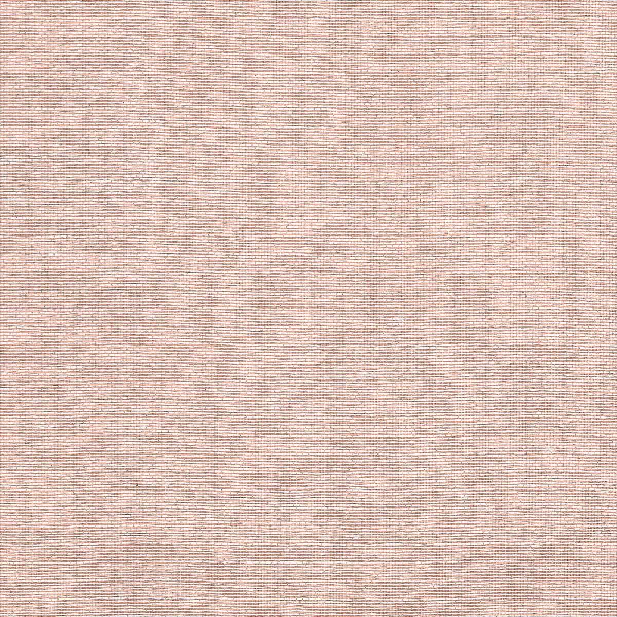 Edward's Paper T19702