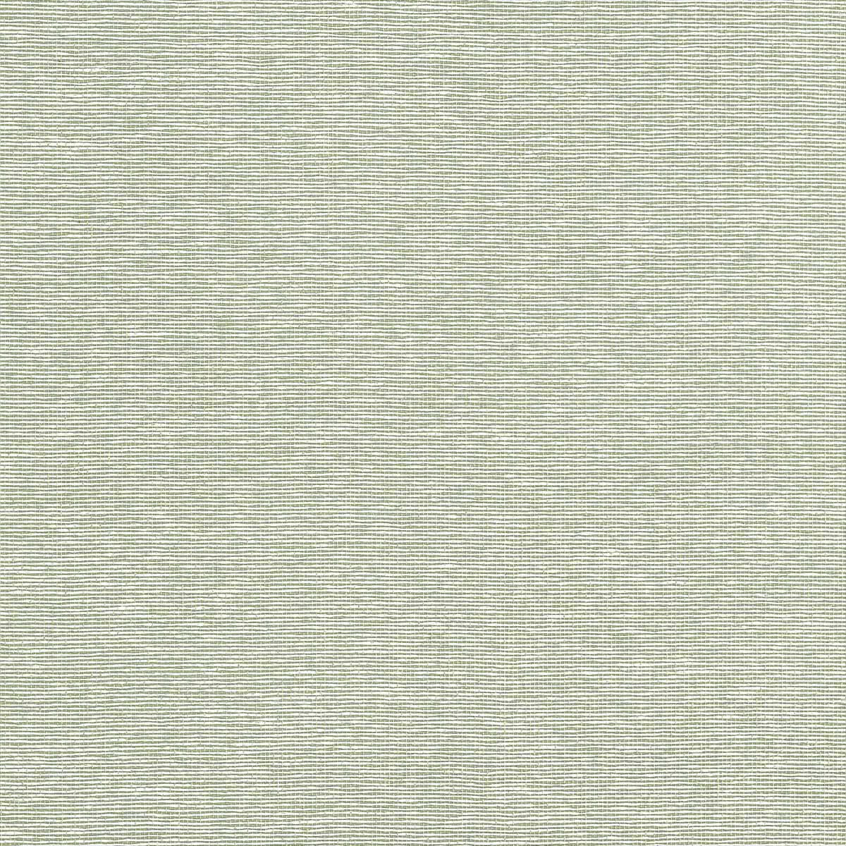 Edward's Paper T19703