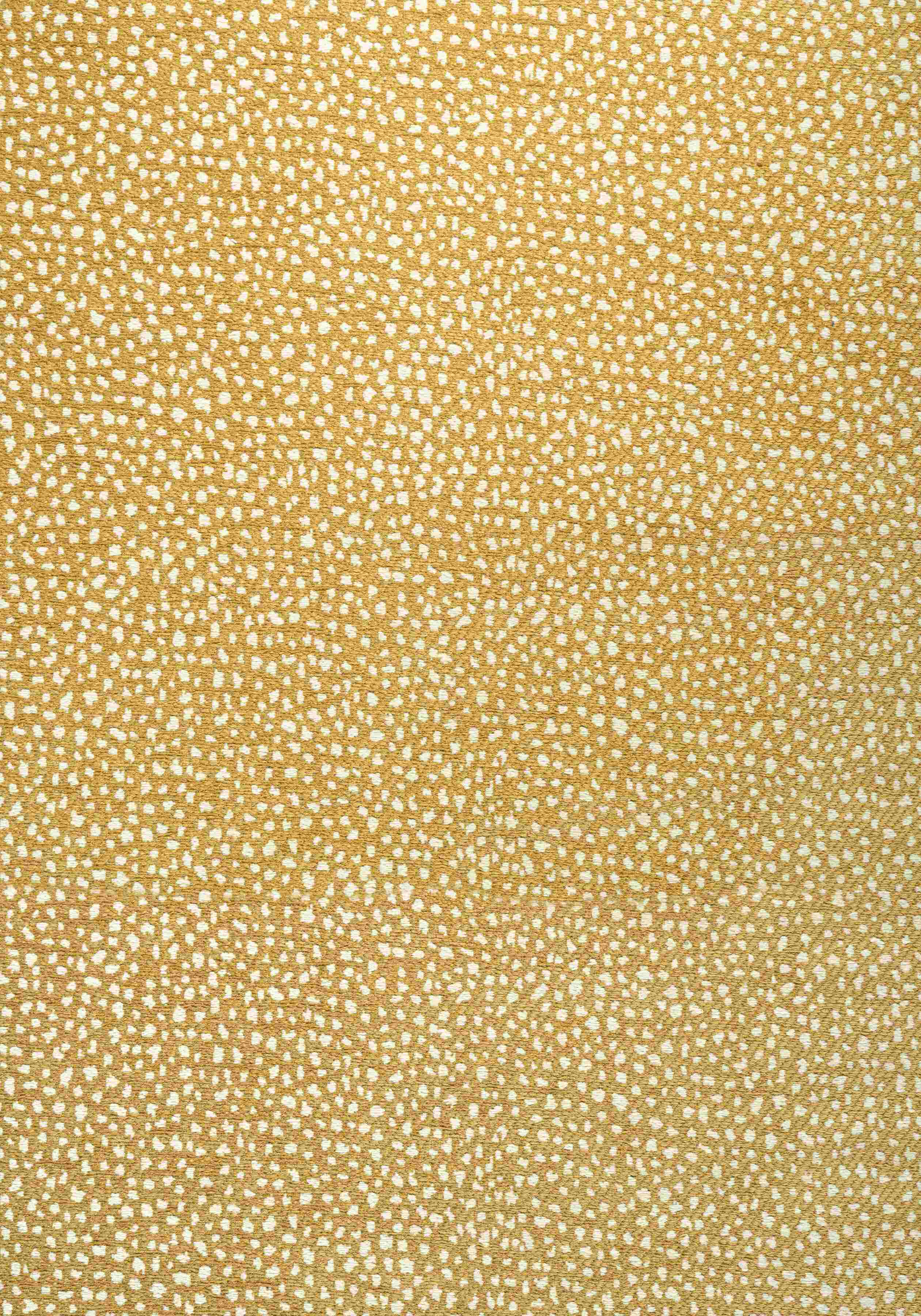 Fawn W78354