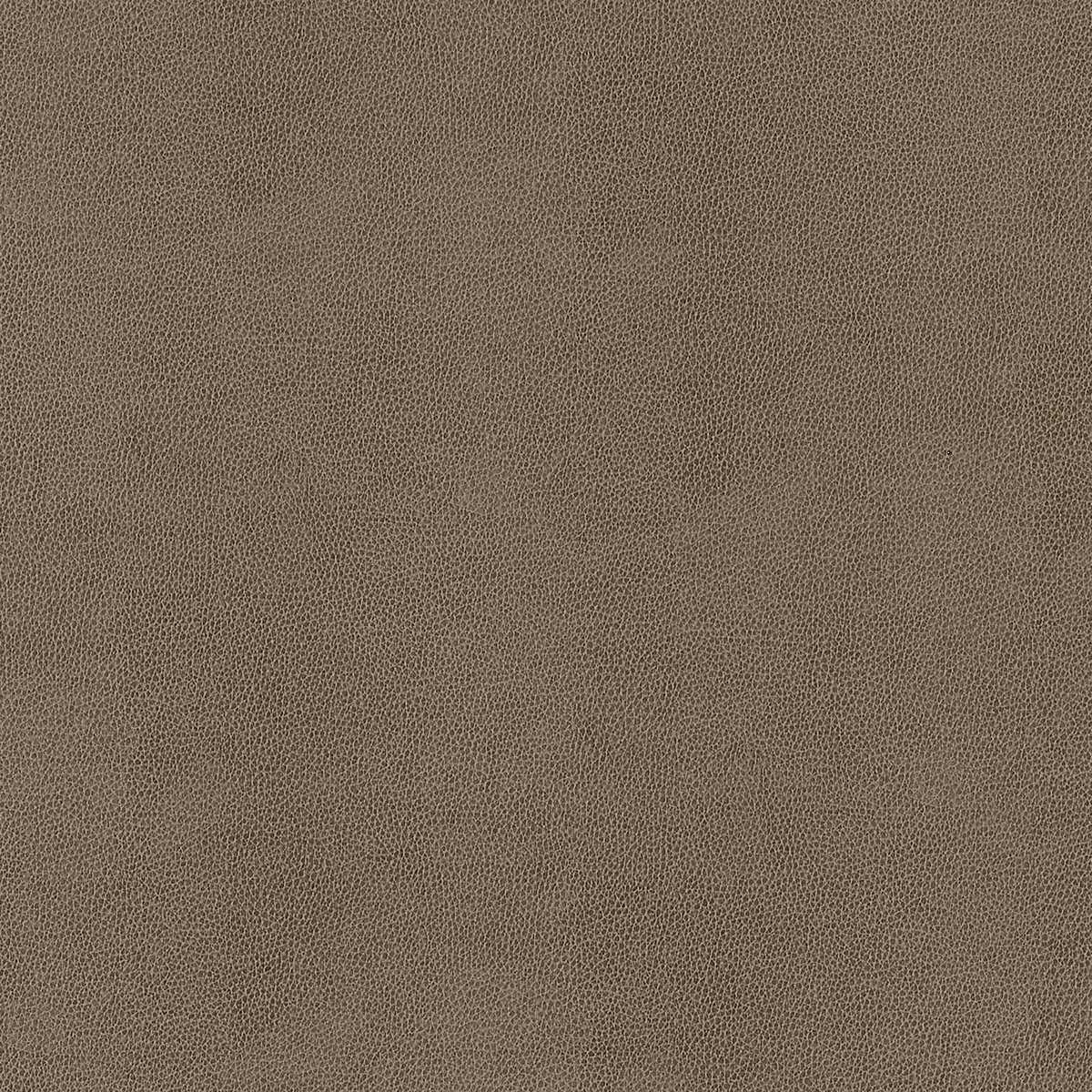 Gaucho W9055