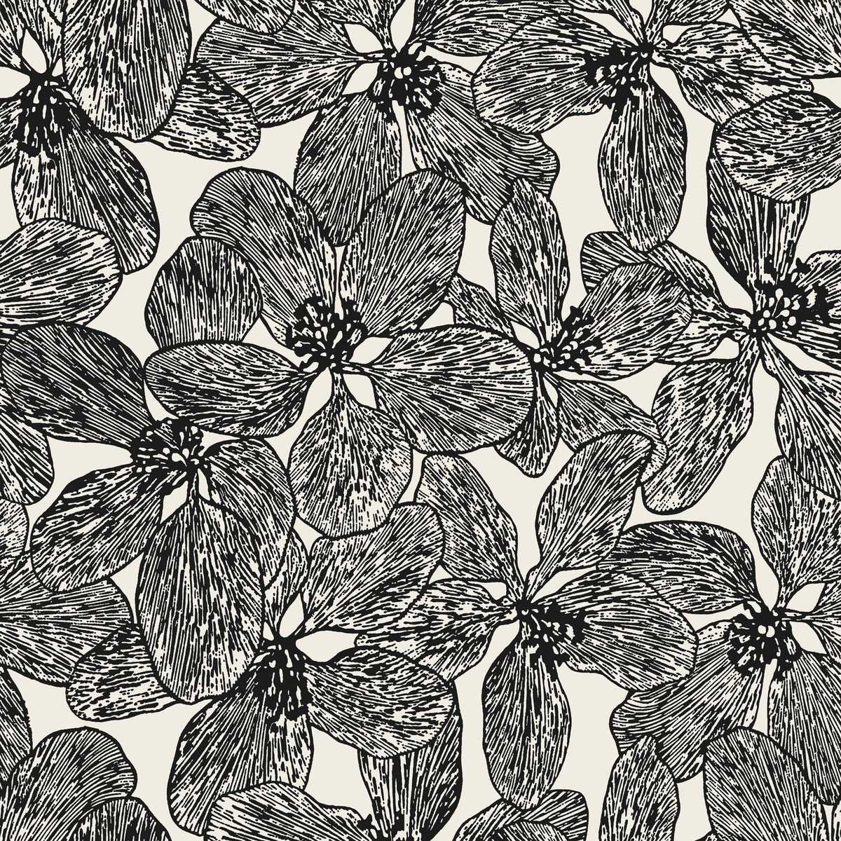 Island Orchid T15848