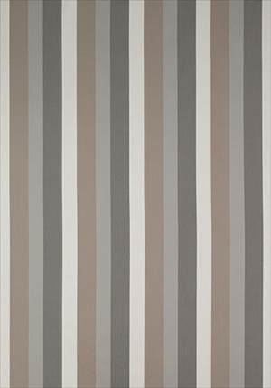 Jayanti Stripe W764114
