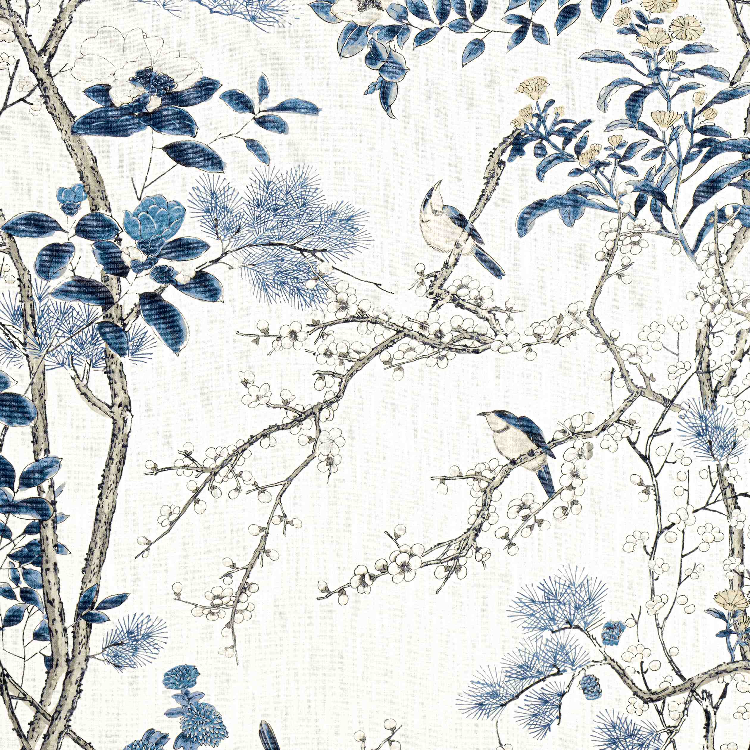 Katsura F913619