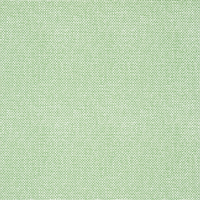 Palawan T16261