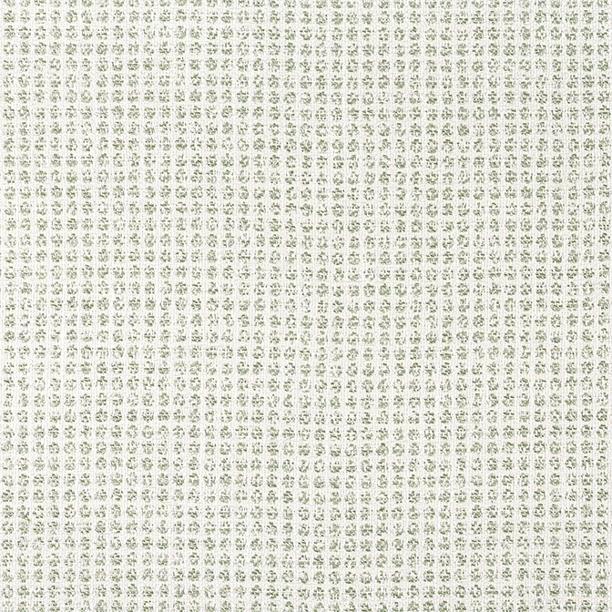 Remy Dot W8703